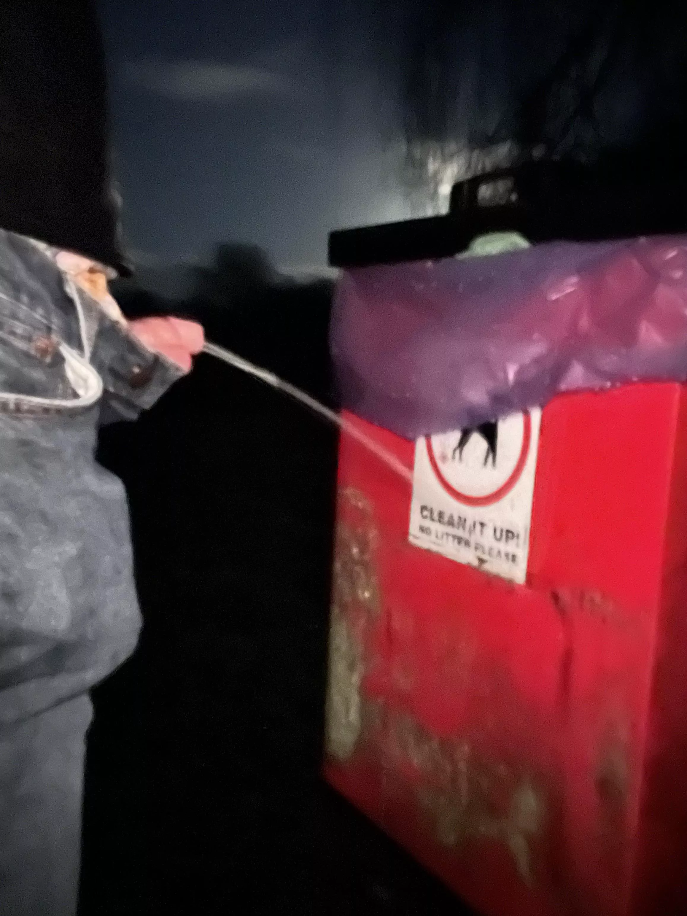 Filthy moonlight public park piss—always wanted to mark a bin!