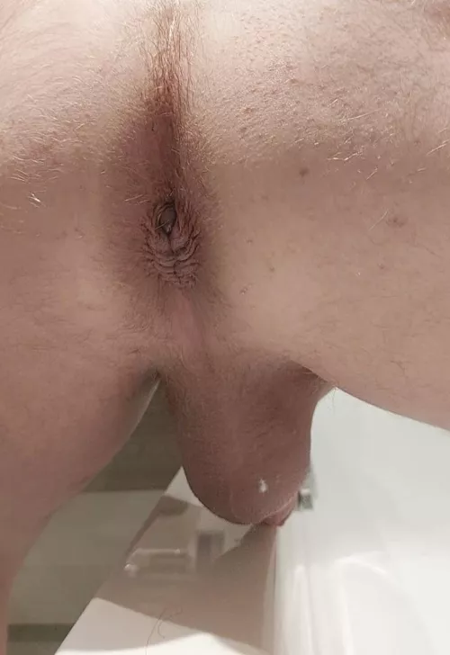 Freshly shaved balls (oh, and my hole)