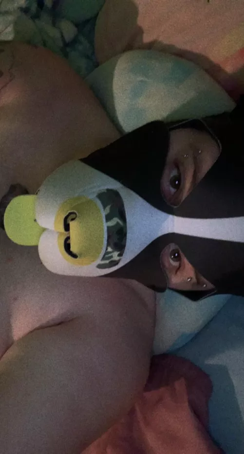 Good dumb dogs just like to play