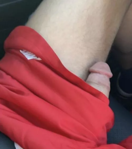 Had a helper at the gym today