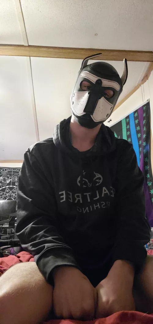 home after a long day!!!!!