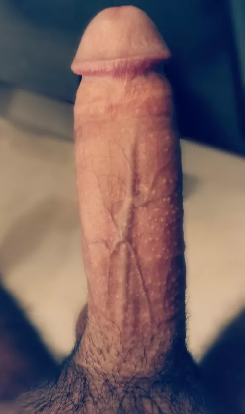 I need someone to take care of this for me