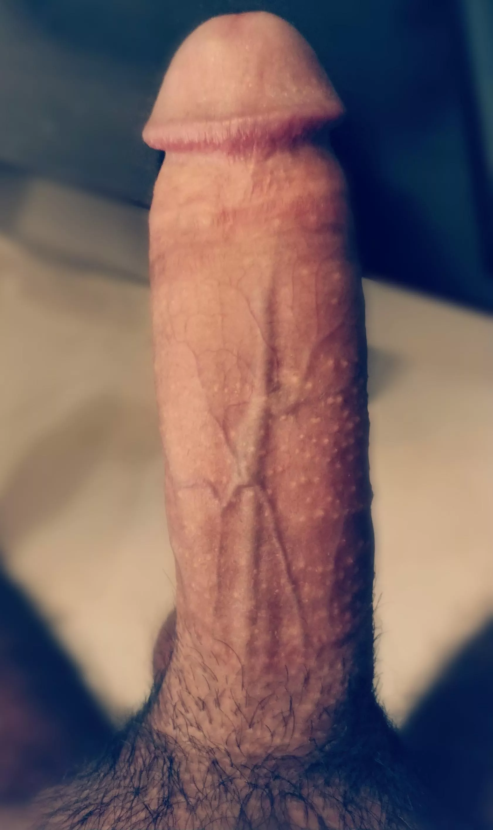 I need someone to take care of this for me