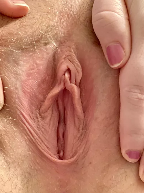 I’d love to hear how y’all would breed this vixen ^_^