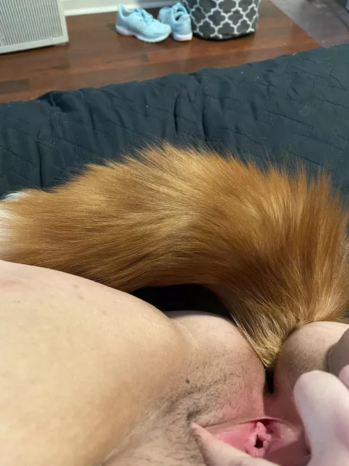 Is it breeding time yet?