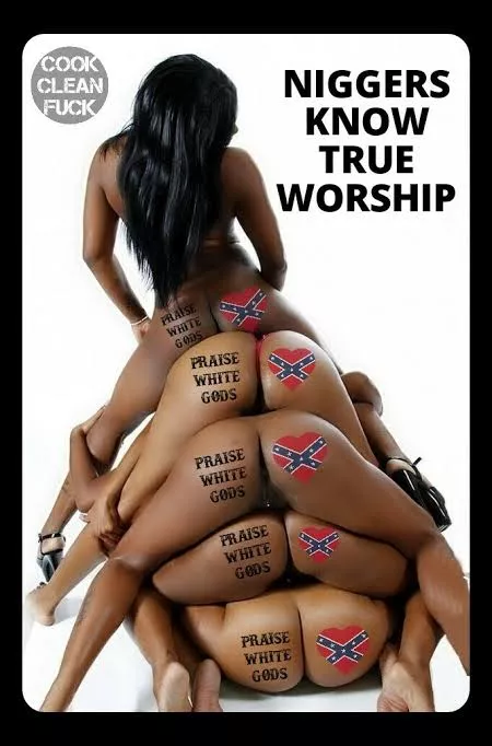Know your place filthy niggger sluts
