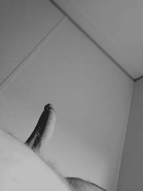 let's get creative with the angles. nothing like [m]onochrome.