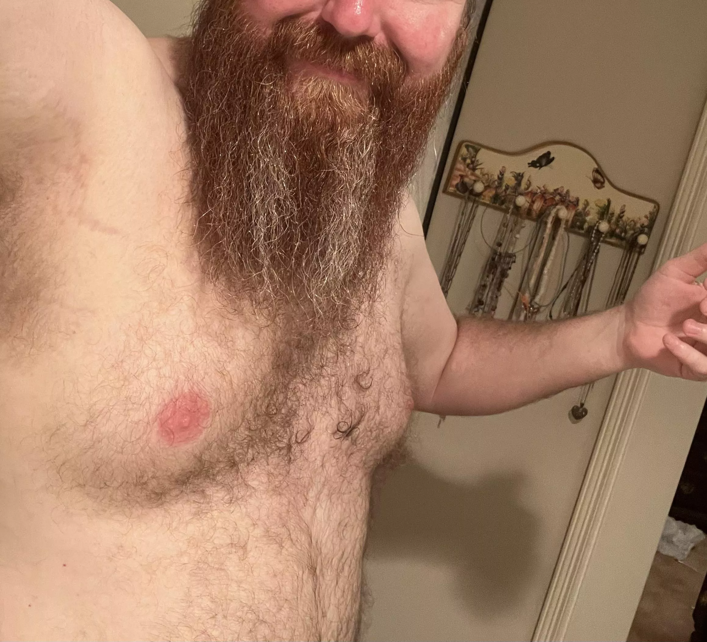 Love for red beards?