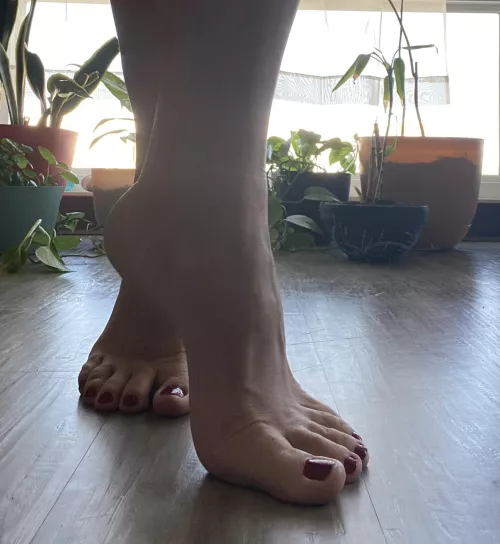 My body is a temple, and I believe you should come in for a Midnight Mass