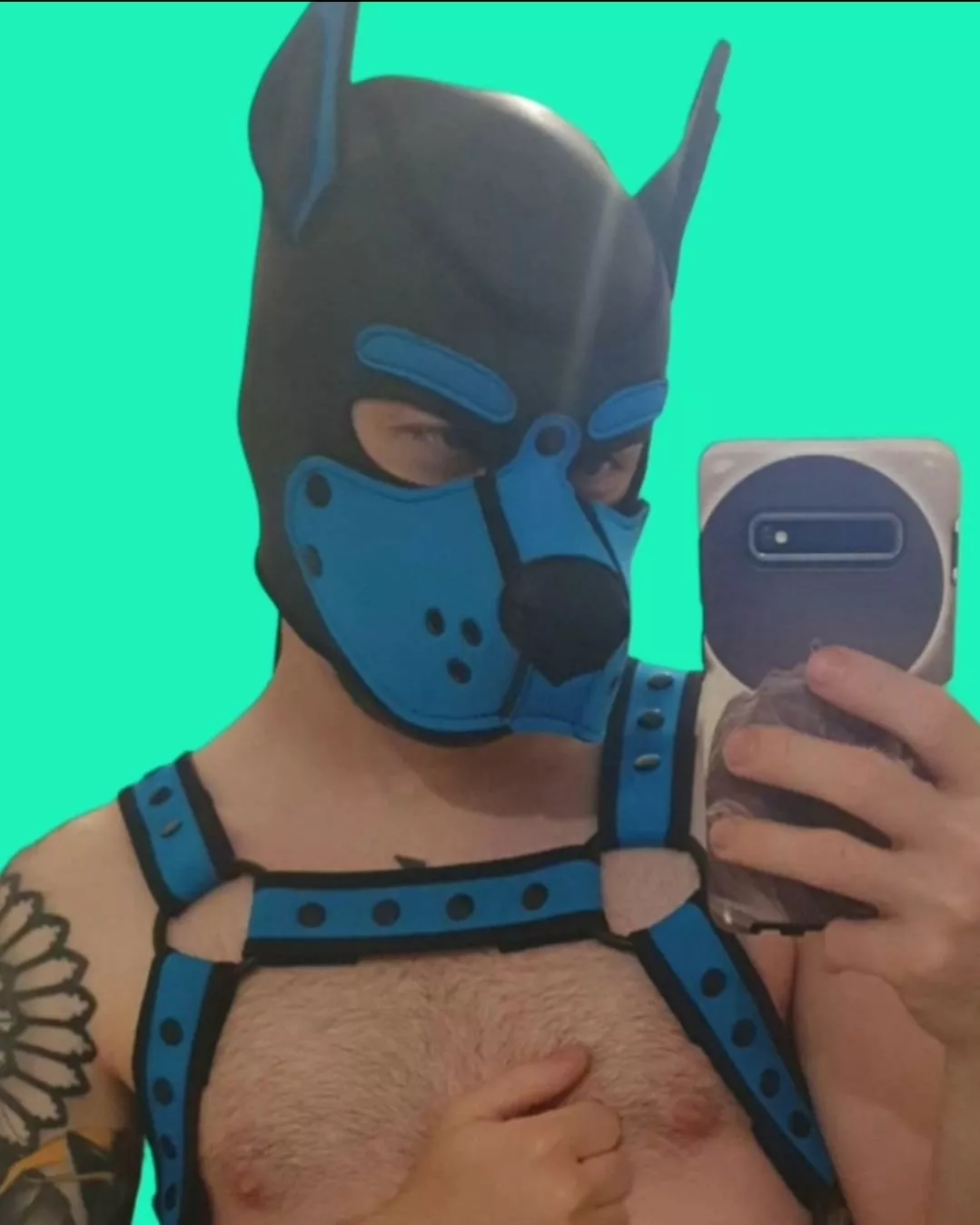 New Aussie puppy 🐶 Let's be friends!