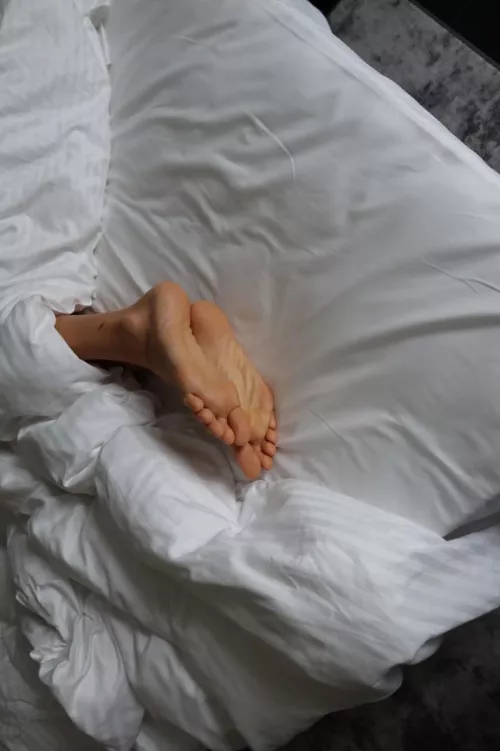 Pretty view to wake up to