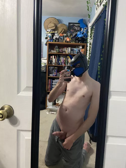 Puppy found a bone 🐶