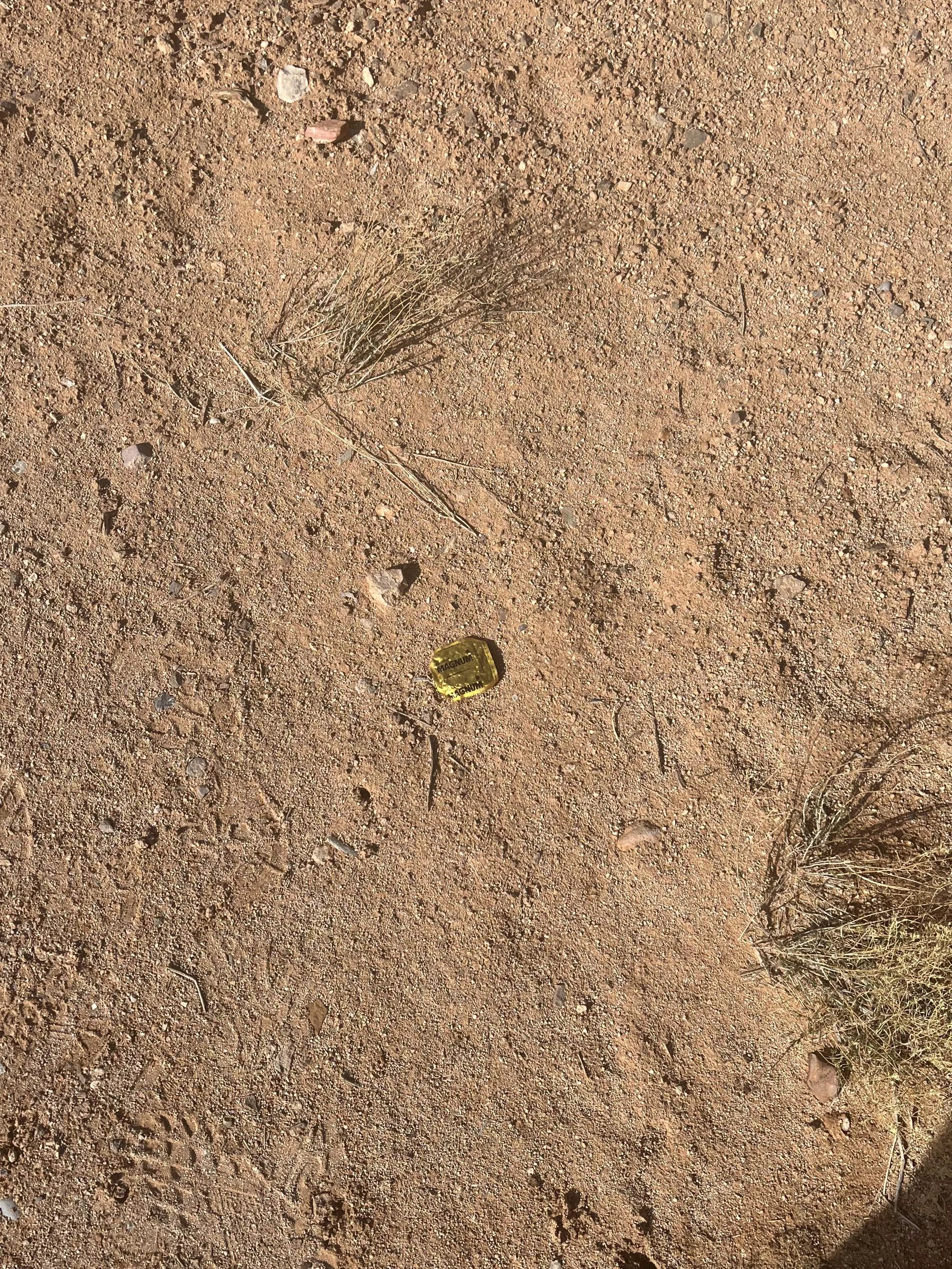 Saw this while I was hiking. Possible cruising going on?🤭