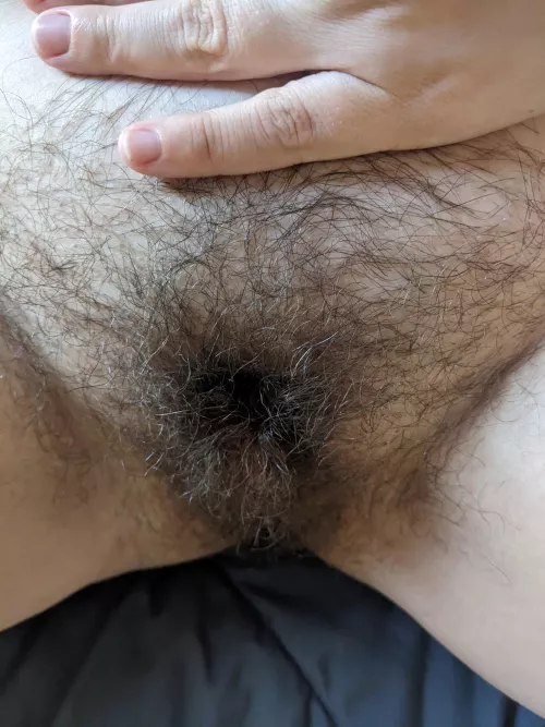 So hairy she's almost hidden
