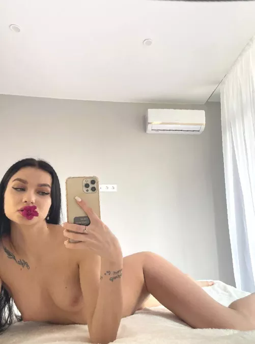 Softer than the velvet