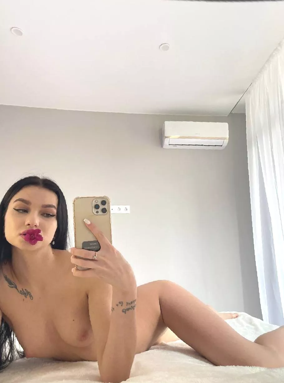 Softer than the velvet