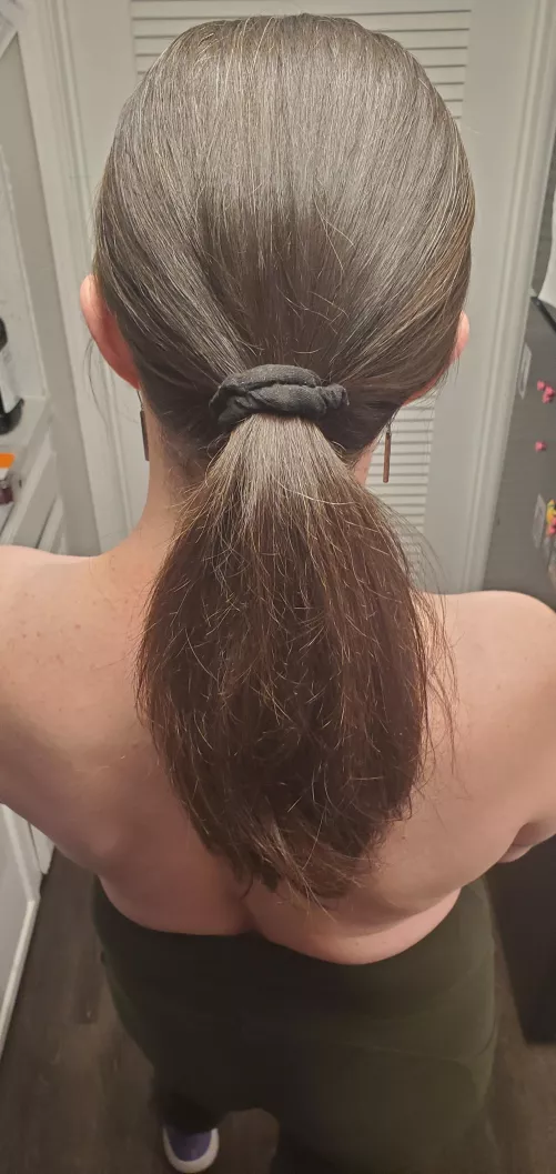 Thick and Silky Brunette Ponytail