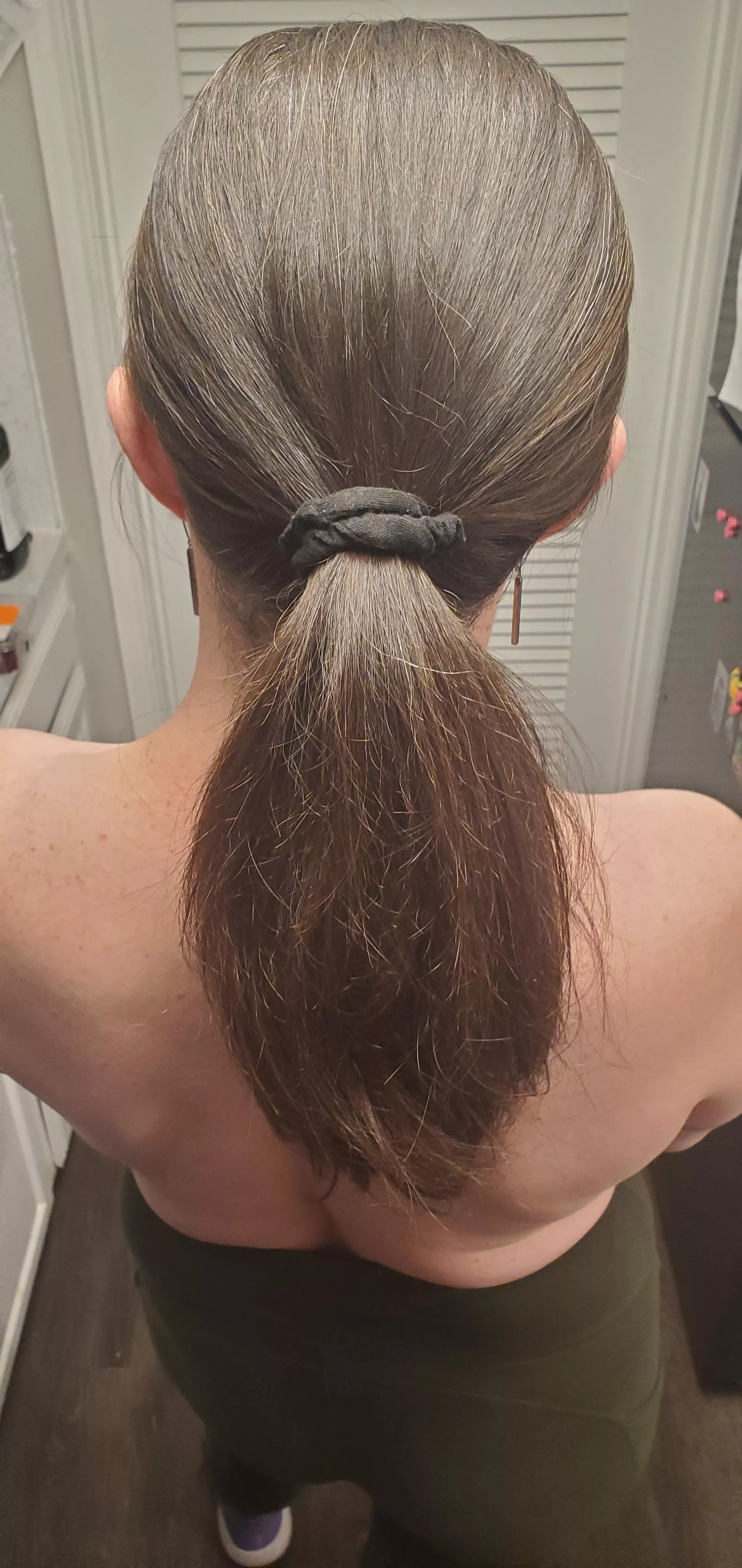 Thick and Silky Brunette Ponytail