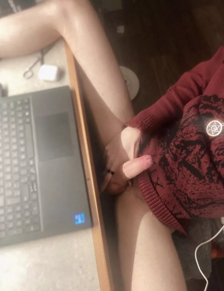 Wanna suck me off while I write my essay?