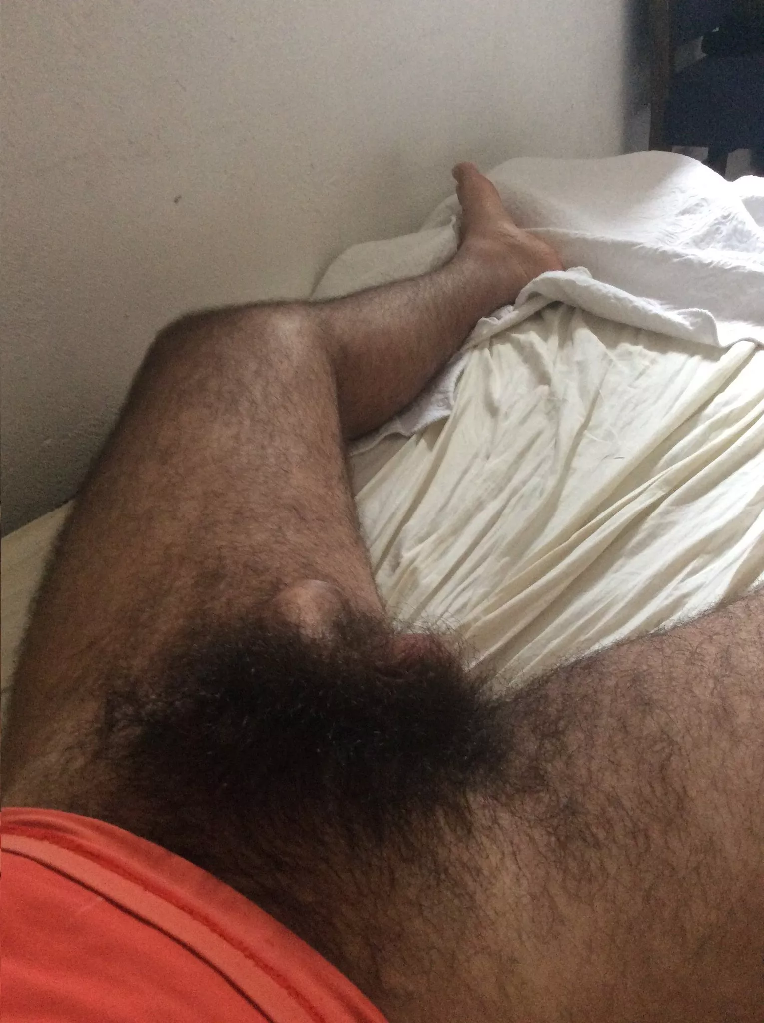 welcome to the jungle