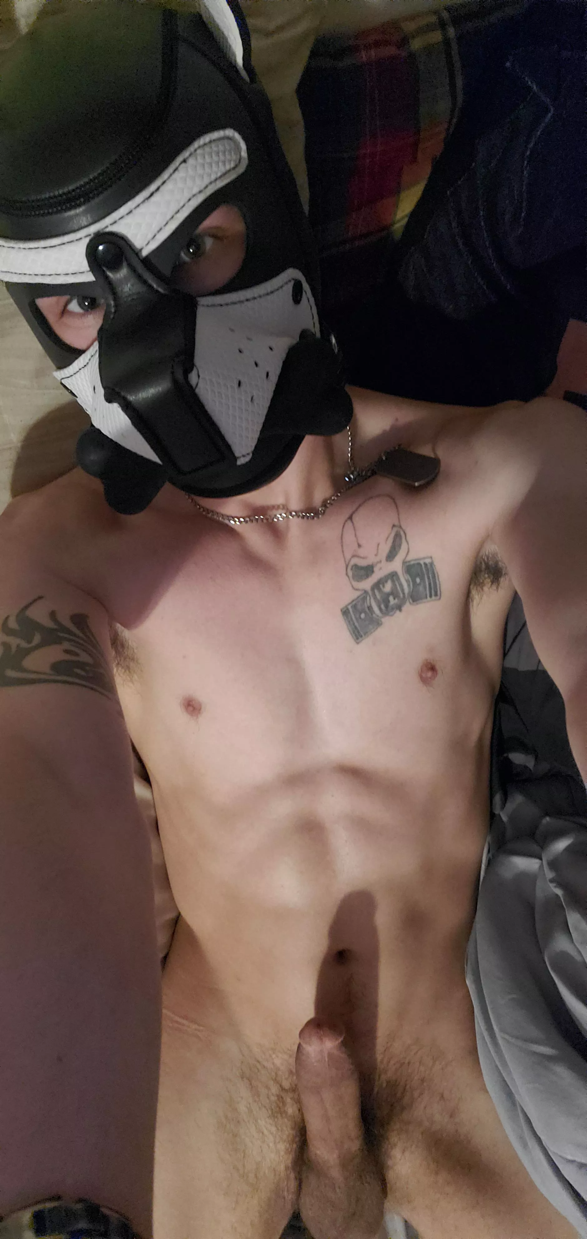 Wish I had a spiked collar. Maybe one day!!!!