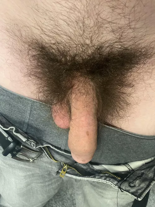 Would you believe me if I told you it gets a lot bigger than this?