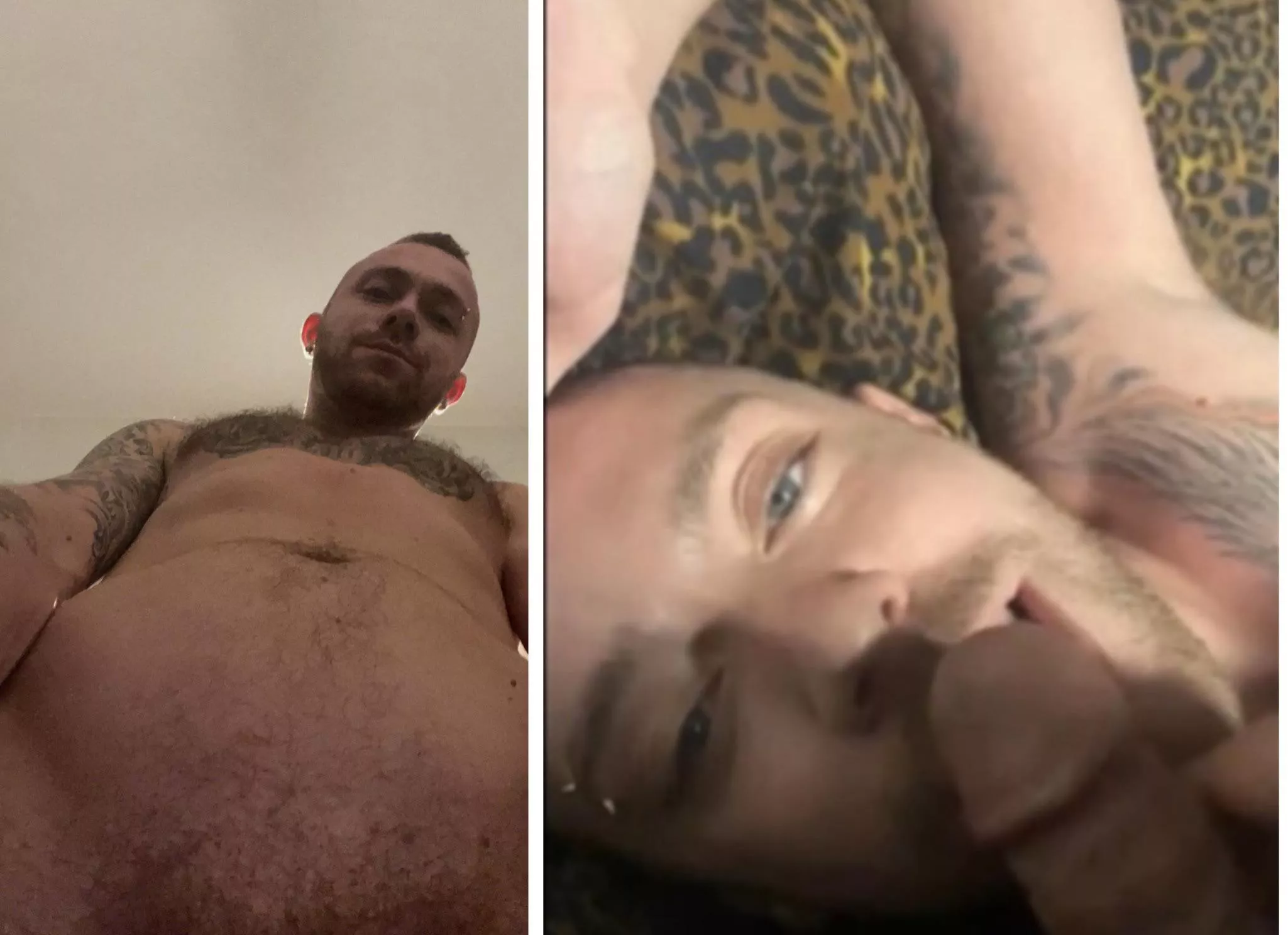 Would you rather feed me or be fed?