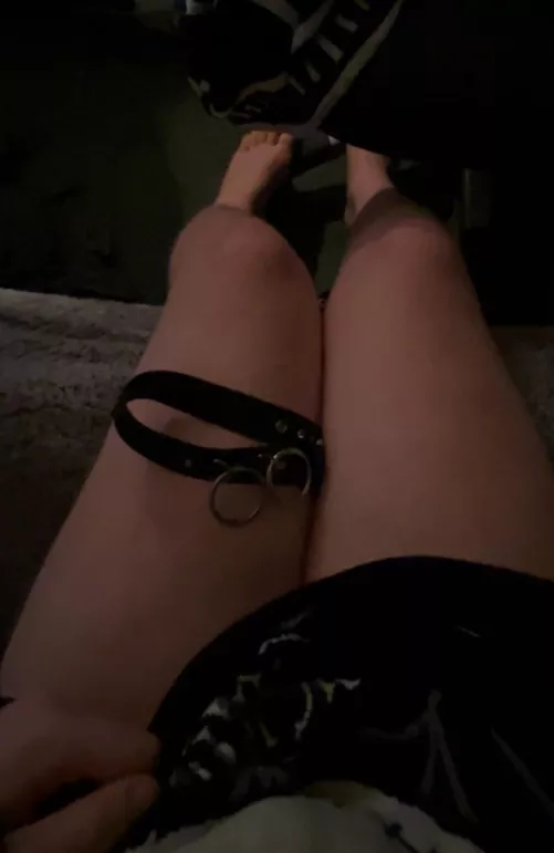 19, Who’s gunna be a lucky boy who wears this collar, subs dm me