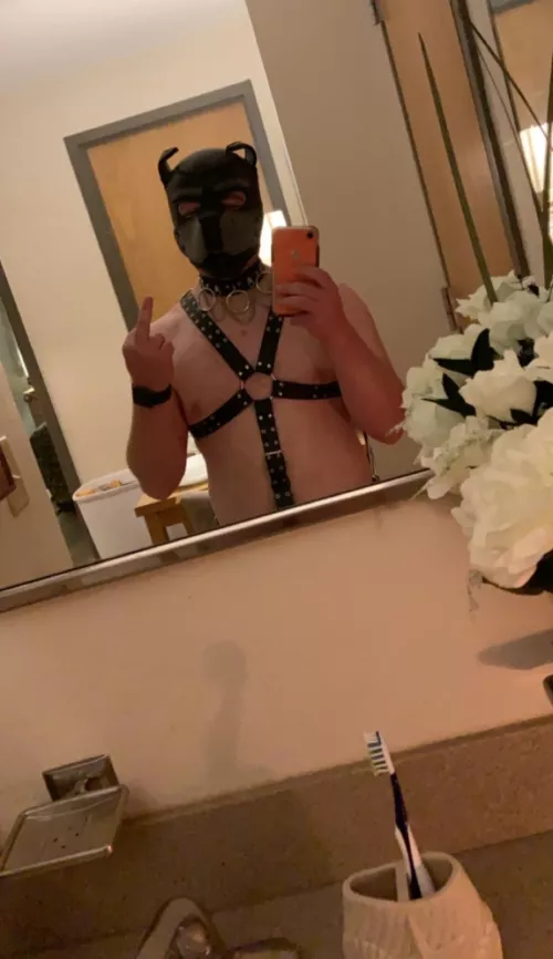 22yo Army pup who’s always in the mood