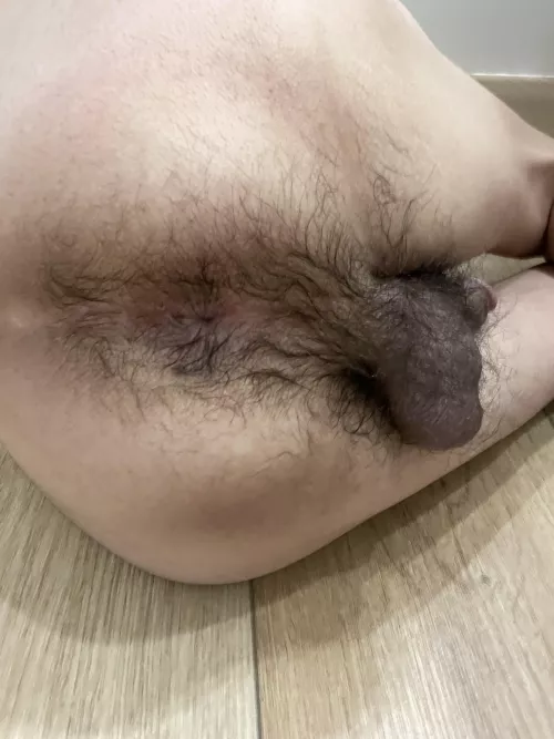 Anyone here like hairy boipussy?