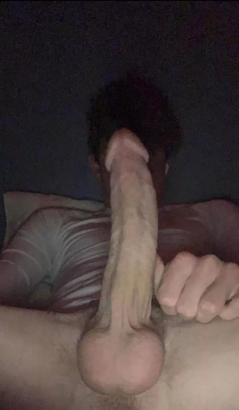 Anyone in need of a new dildo?