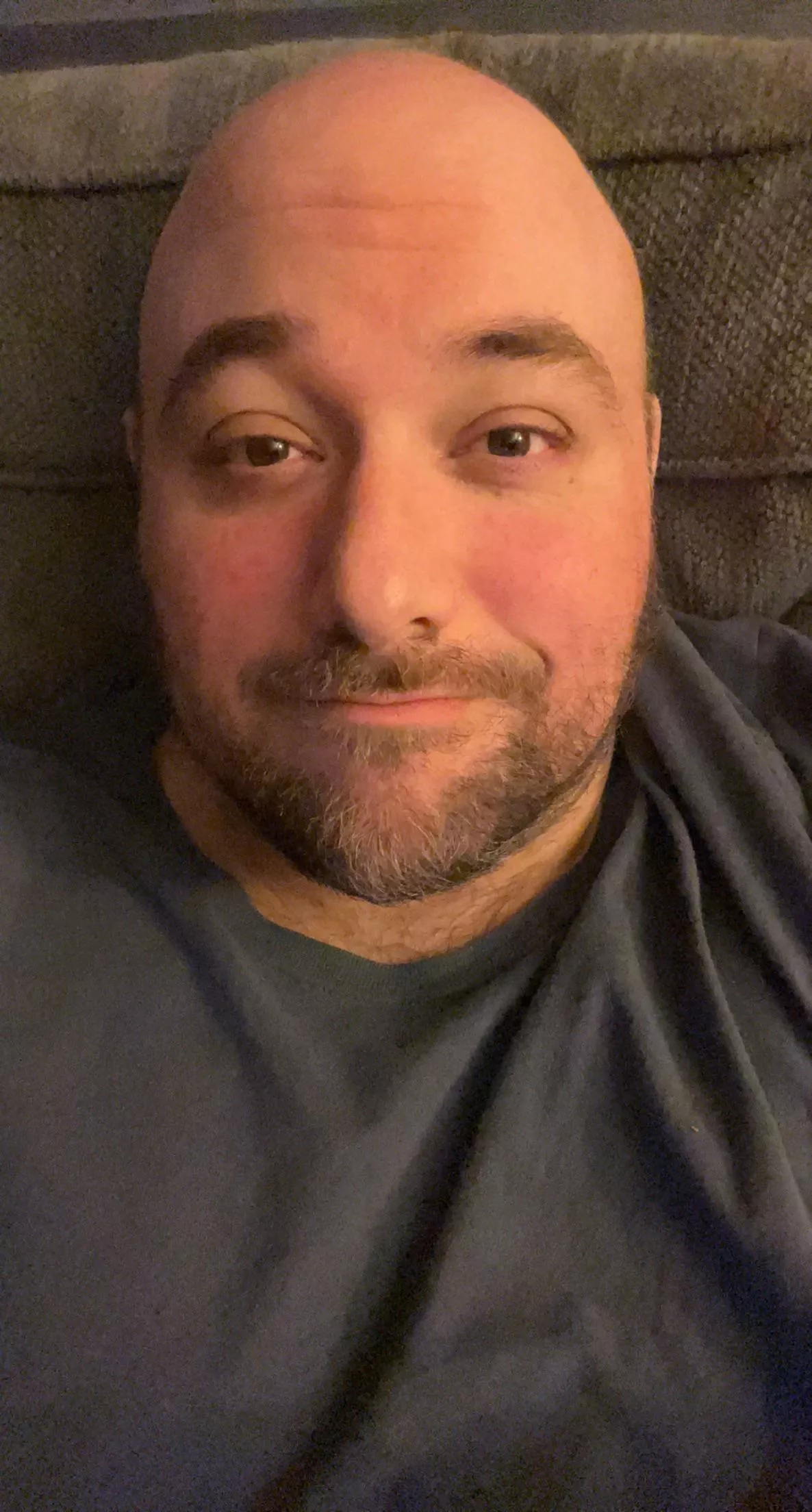 Anyone want to play some Minecraft dungeons tonight with this chubby rugged bear about 8pm EST? I have discord.