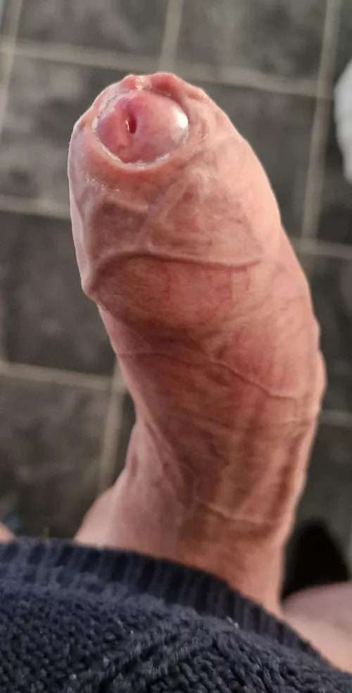 Could I possibly tempt you with this?