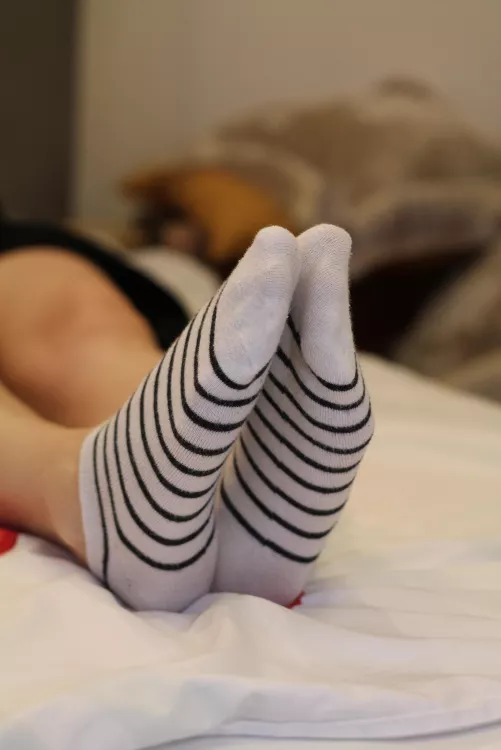 Cozy feeling this afternoon