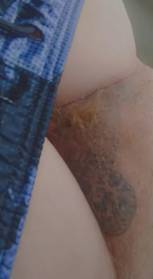 Friday means furburger is on the menu