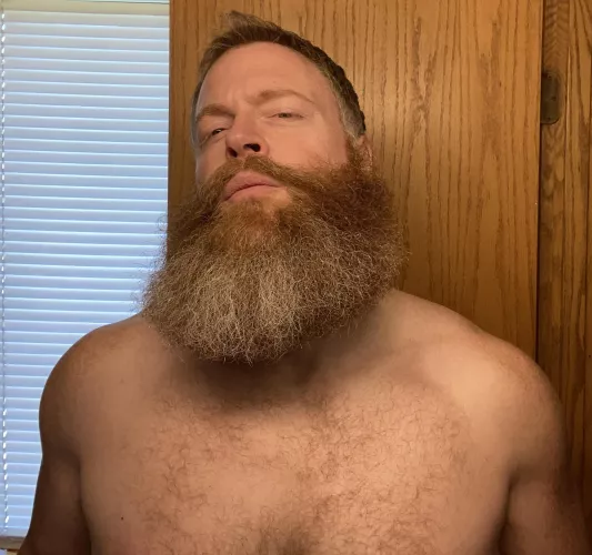 Happy National Kiss A Ginger Day! And you thought the holidays were over!