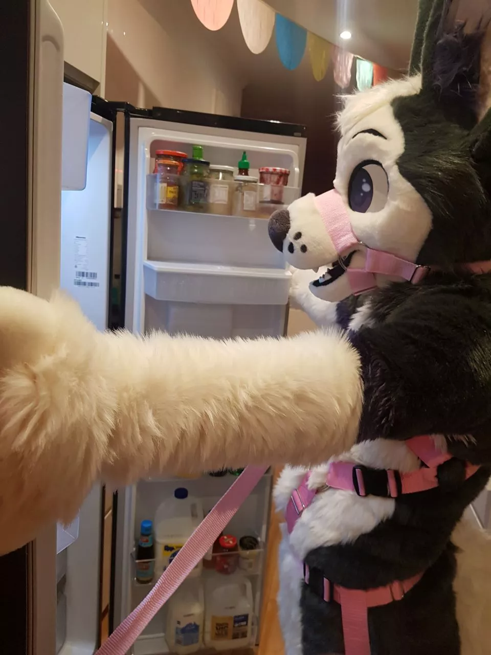 i am raiding the fridge, just try and stop me