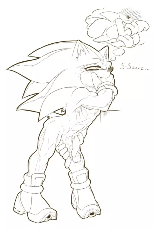 I do the same thing when I think of sonic😍(DarkNowy)