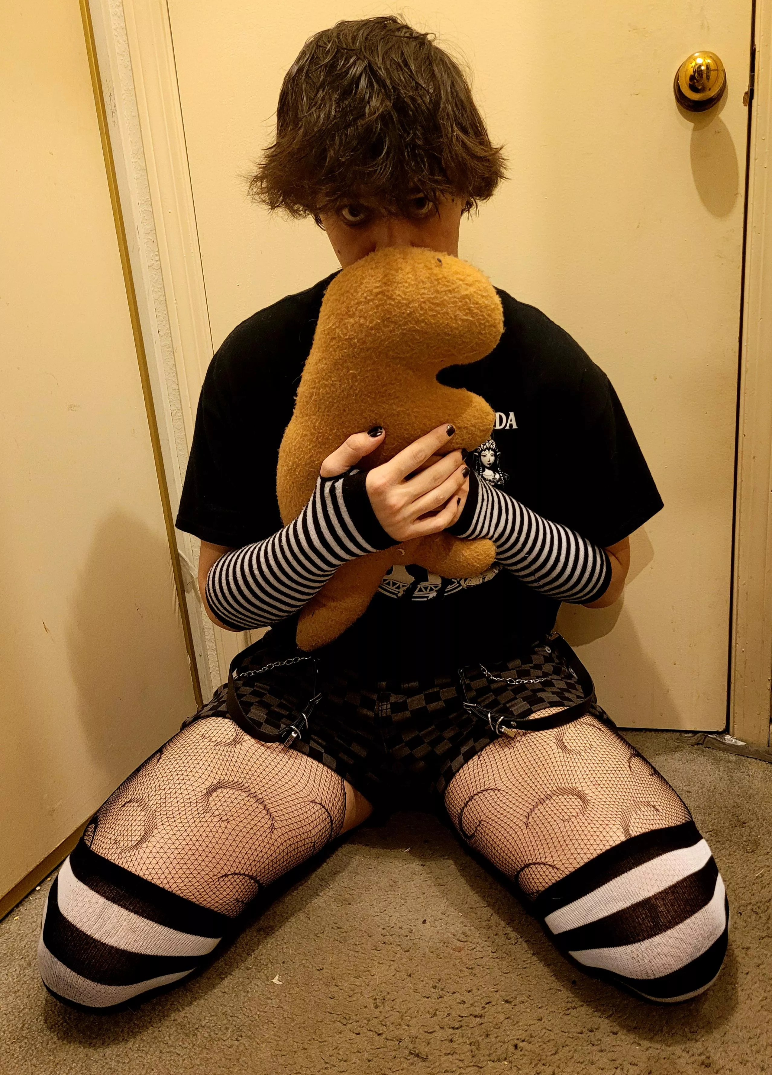 I don't have the Sharky 🦈. I have a handmade T-rex Dino Nuggie Plushie 🦖. Because I'm a special snowflake ❄️ Femboy UwU