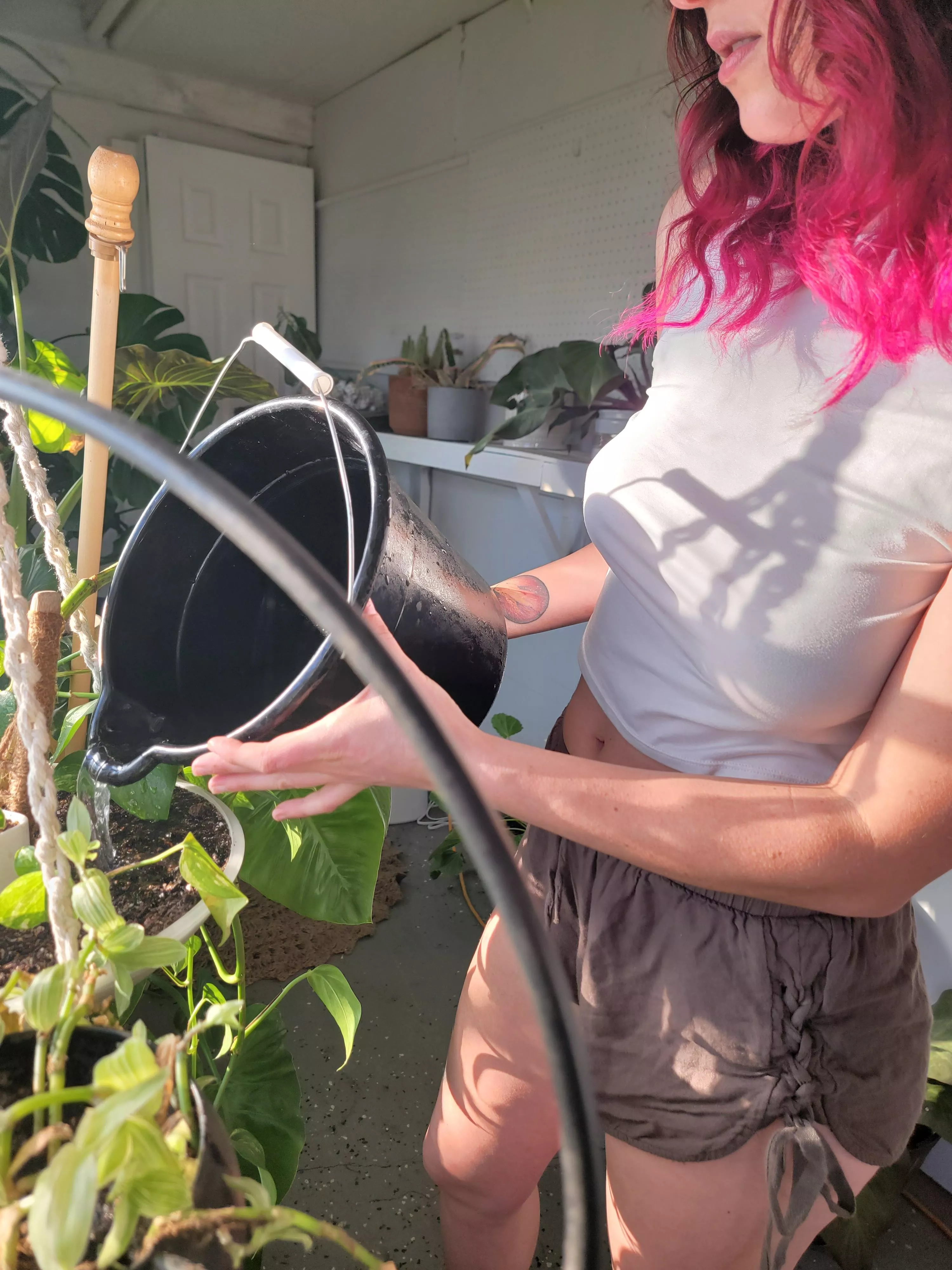 I just wet my plants ;)