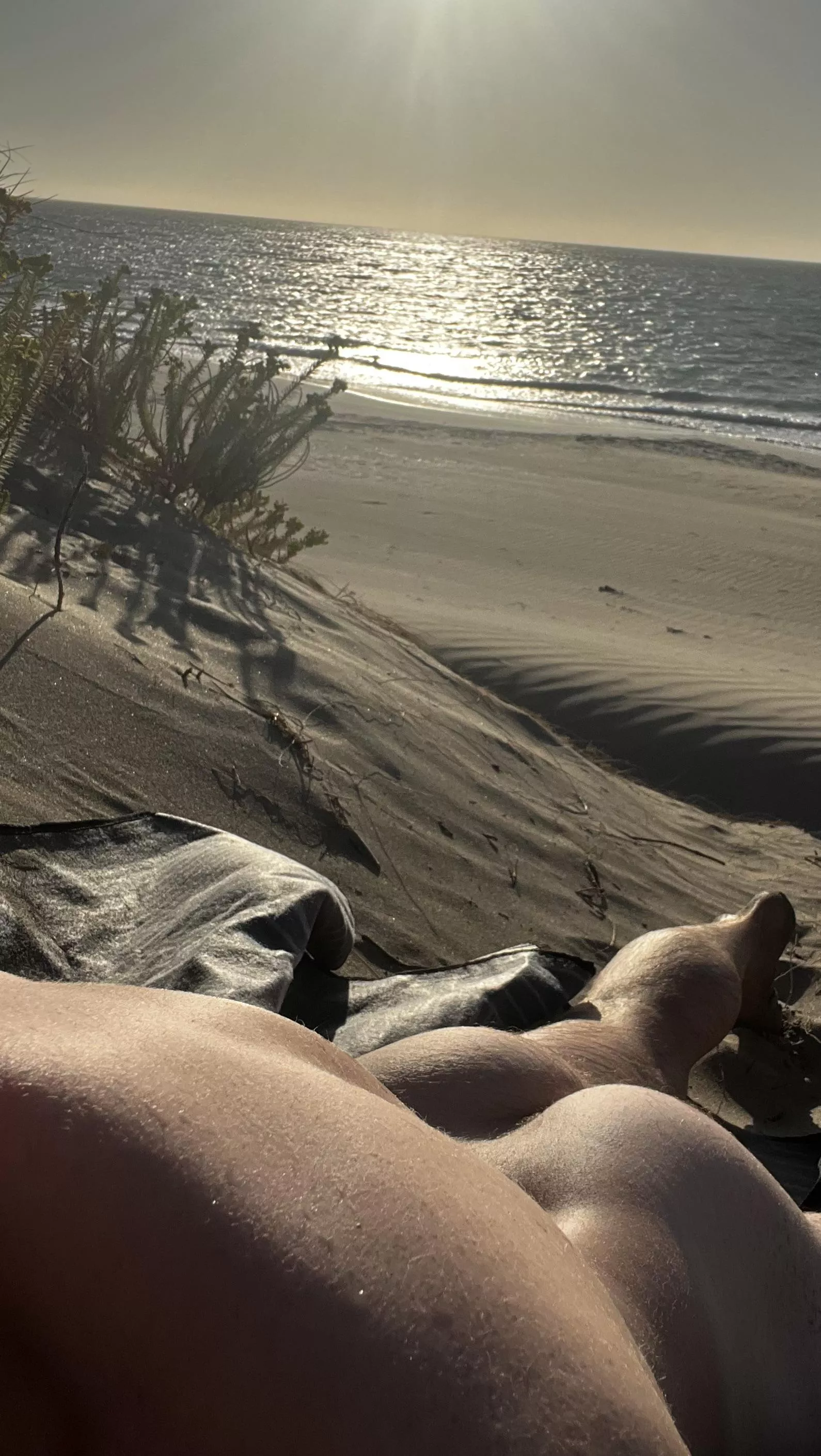 Love letting the bum out at the beach