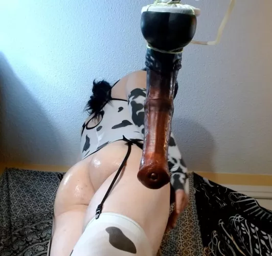 Moo 😈 large chance by Bad Dragon