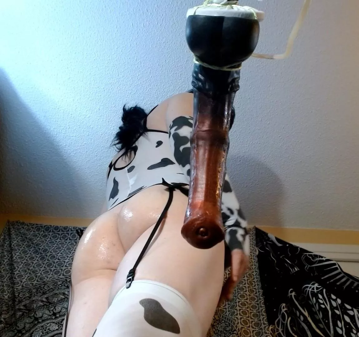 Moo 😈 large chance by Bad Dragon