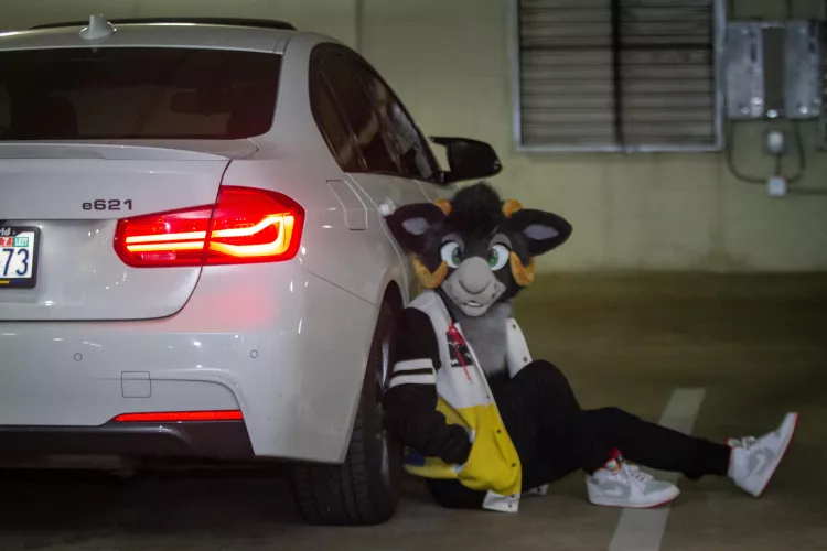 My first ever Fursuit Friday! (@auburnthegoat)