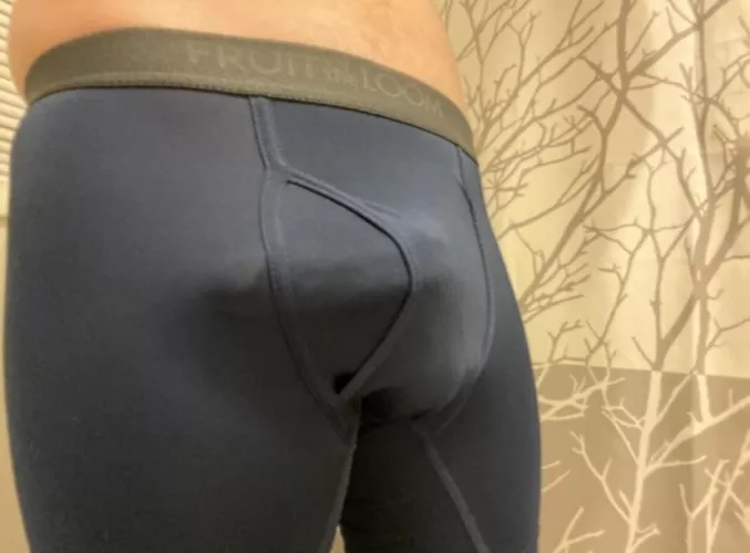 Not sure if I like these boxer briefs or not. What do you think?