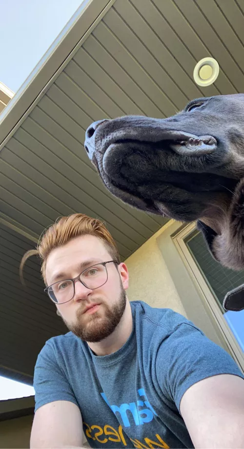 Photos aren’t my dog’s strong suit…