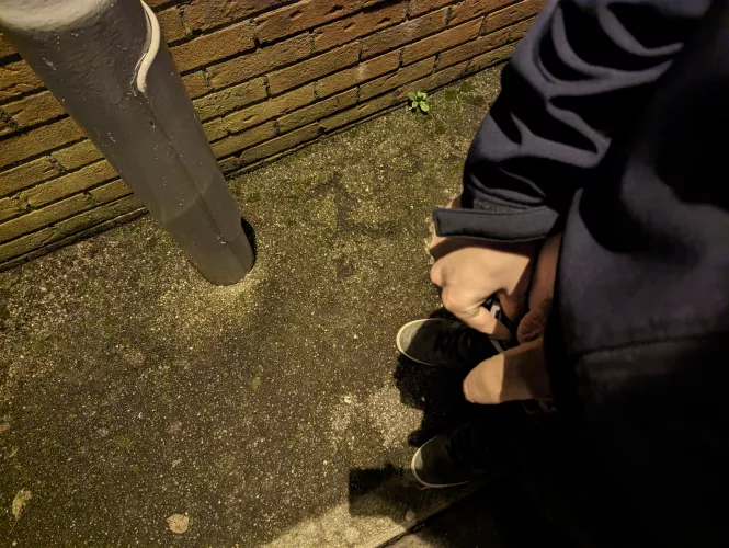 So early in the morning I had to use a street light to have any chance of it being visible 😅