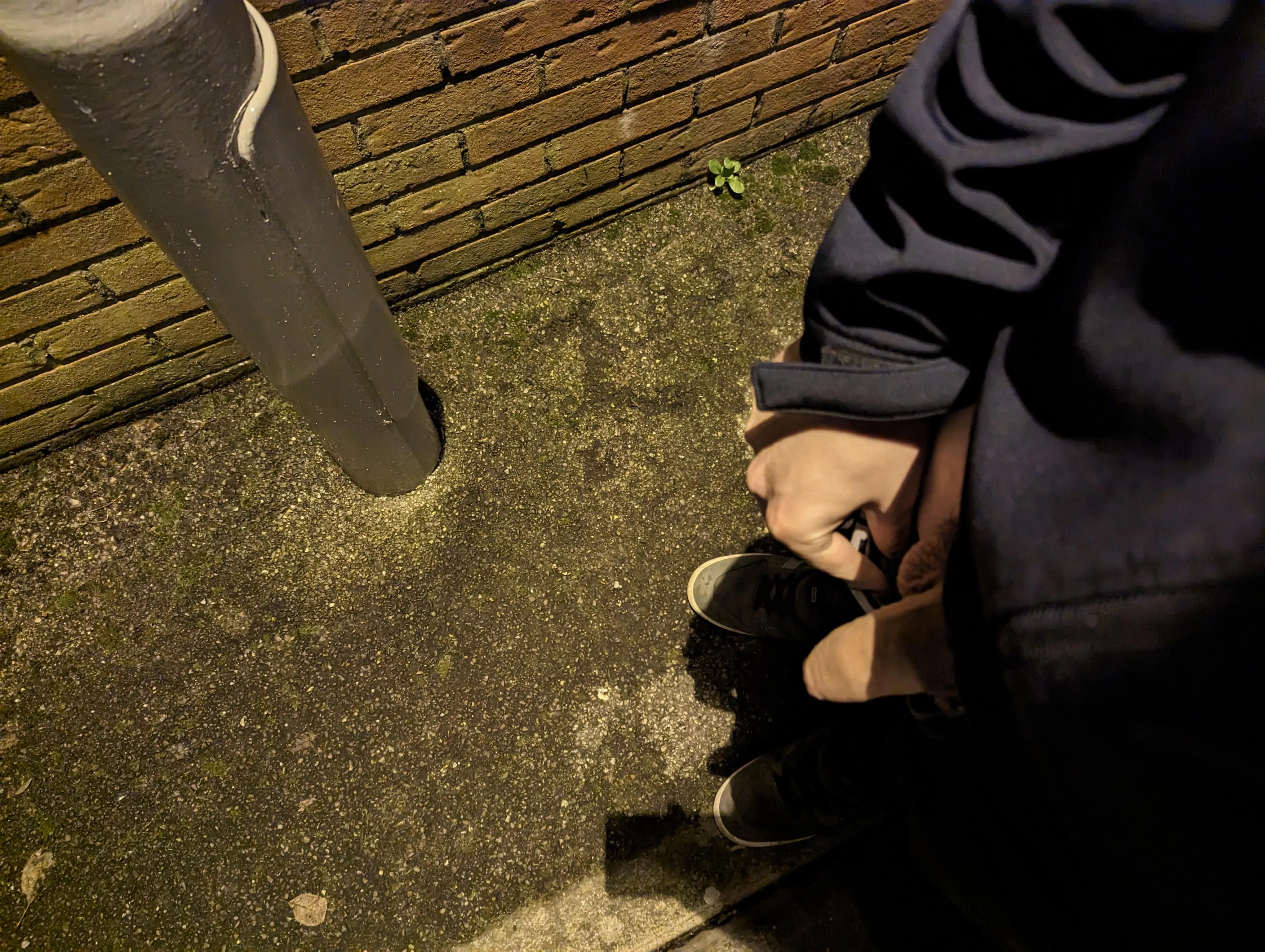 So early in the morning I had to use a street light to have any chance of it being visible 😅