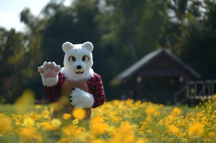 Something Prettier Than Flowers