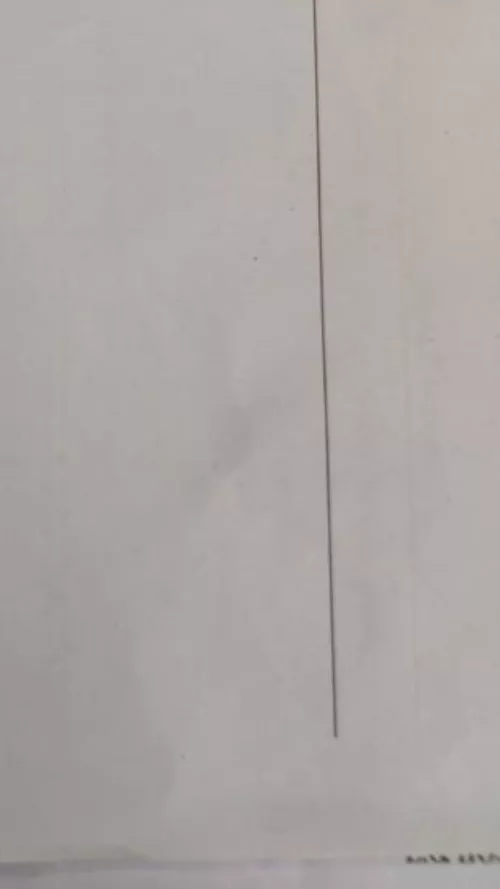 The last dialogue in this video